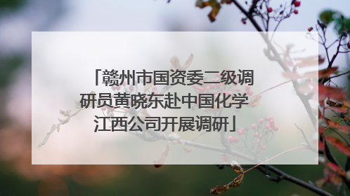 赣州市国资委二级调研员黄晓东赴中国化学江西公司开展调研