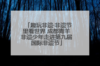 趣玩非遗·非遗节里看世界 成都青羊非遗少年走进第九届国际非遗节
