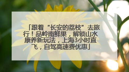 跟着“长安的荔枝”去旅行！品岭南鲜果，解锁山水康养新玩法，上海3小时直飞，自驾高速费优惠