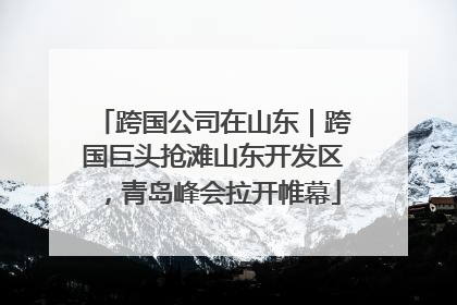 跨国公司在山东｜跨国巨头抢滩山东开发区，青岛峰会拉开帷幕