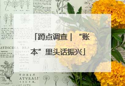 蹲点调查｜“账本”里头话振兴