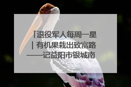 退役军人每周一星｜有机果栽出致富路——记益阳市银城南湖蔬果农民专业合作社总经理晏桂明