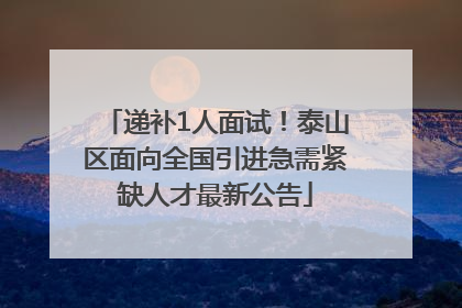 递补1人面试！泰山区面向全国引进急需紧缺人才最新公告