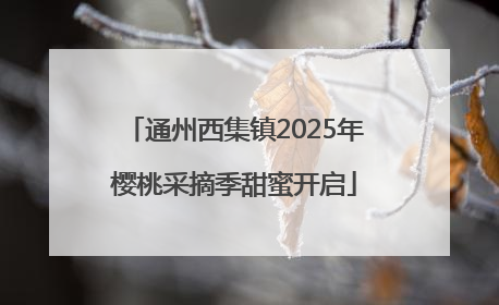 通州西集镇2025年樱桃采摘季甜蜜开启