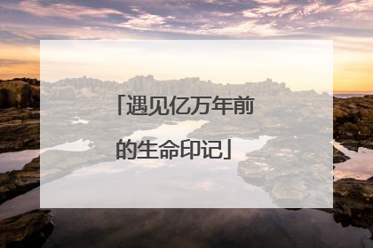 遇见亿万年前的生命印记