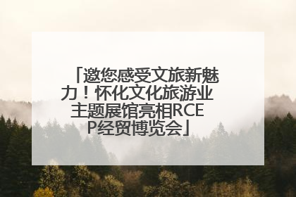邀您感受文旅新魅力！怀化文化旅游业主题展馆亮相RCEP经贸博览会