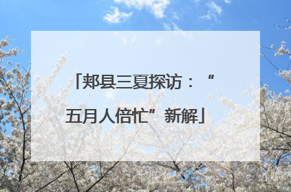 郏县三夏探访：“五月人倍忙”新解