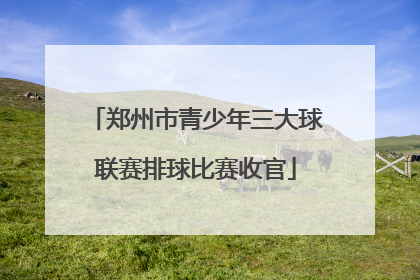 郑州市青少年三大球联赛排球比赛收官