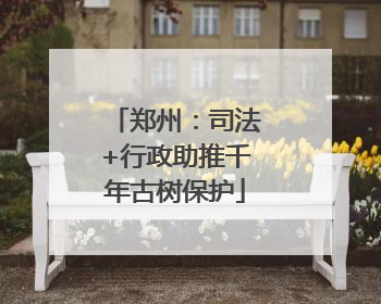 郑州：司法+行政助推千年古树保护