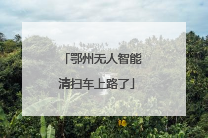 鄂州无人智能清扫车上路了