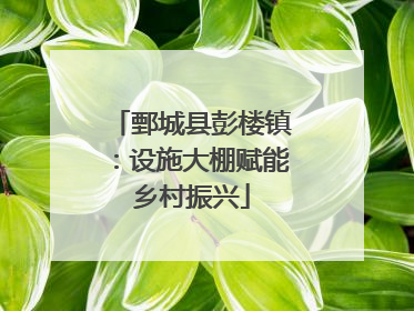鄄城县彭楼镇：设施大棚赋能乡村振兴
