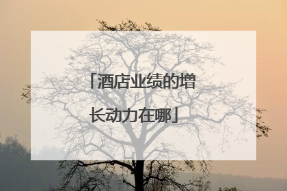 酒店业绩的增长动力在哪