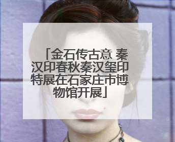 金石传古意 秦汉印春秋秦汉玺印特展在石家庄市博物馆开展
