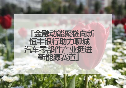 金融动能聚链向新 恒丰银行助力聊城汽车零部件产业挺进新能源赛道
