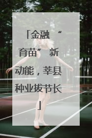 金融 “育苗” 新动能，莘县种业拔节长