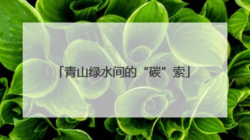 青山绿水间的“碳”索