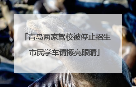 青岛两家驾校被停止招生 市民学车请擦亮眼睛