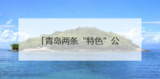 青岛两条“特色”公交线路有调整 昔日最长线312路停运