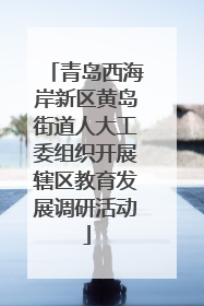 青岛西海岸新区黄岛街道人大工委组织开展辖区教育发展调研活动