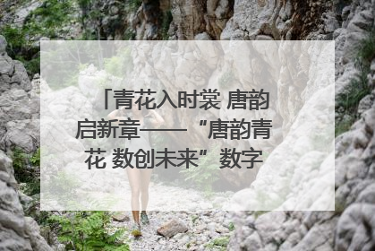 青花入时裳 唐韵启新章——“唐韵青花 数创未来”数字文创设计大赛启幕