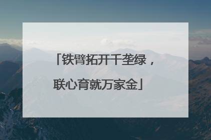 铁臂拓开千垄绿，联心育就万家金