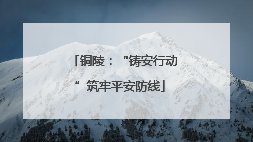 铜陵：“铸安行动”筑牢平安防线