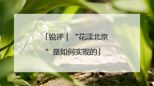 锐评｜“花漾北京”是如何实现的