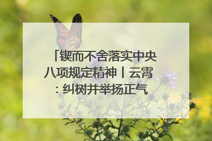 锲而不舍落实中央八项规定精神丨云霄：纠树并举扬正气 作风建设谱新章