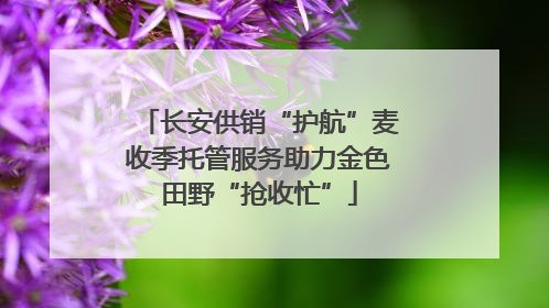 长安供销“护航”麦收季托管服务助力金色田野“抢收忙”