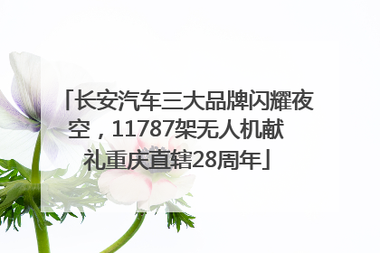 长安汽车三大品牌闪耀夜空，11787架无人机献礼重庆直辖28周年