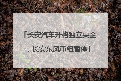 长安汽车升格独立央企，长安东风重组暂停