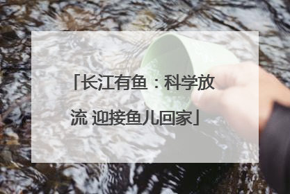 长江有鱼：科学放流 迎接鱼儿回家