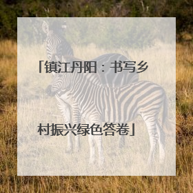 镇江丹阳：书写乡村振兴绿色答卷