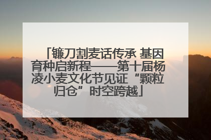 镰刀割麦话传承 基因育种启新程——第十届杨凌小麦文化节见证“颗粒归仓”时空跨越