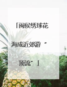 闽侯绣球花海成近郊游“顶流”