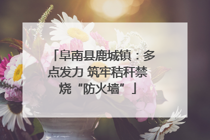 阜南县鹿城镇：多点发力 筑牢秸秆禁烧“防火墙”