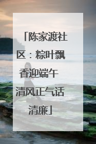 陈家渡社区：粽叶飘香迎端午 清风正气话清廉