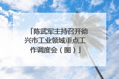 陈武军主持召开德兴市工业领域重点工作调度会（图）
