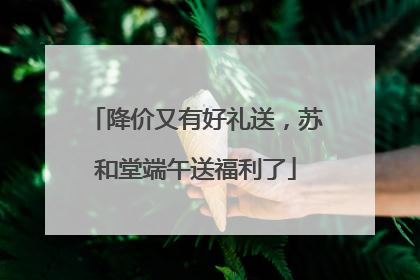 降价又有好礼送，苏和堂端午送福利了