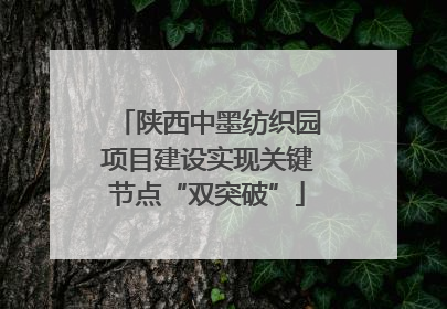 陕西中墨纺织园项目建设实现关键节点“双突破”