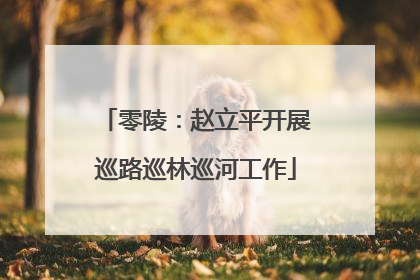 零陵：赵立平开展巡路巡林巡河工作