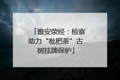 雅安荥经：检察助力“枇杷茶”古树挂牌保护