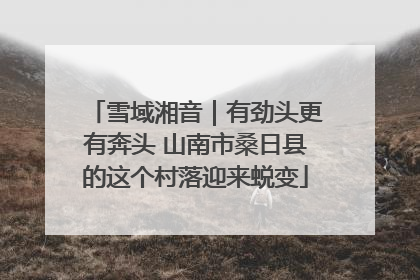 雪域湘音｜有劲头更有奔头 山南市桑日县的这个村落迎来蜕变