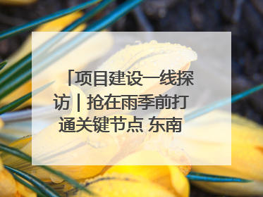 项目建设一线探访｜抢在雨季前打通关键节点 东南退水明渠四标段项目顺利完工