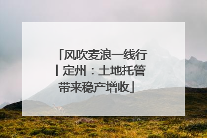风吹麦浪一线行丨定州：土地托管带来稳产增收