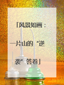 风景如画：一片山的“逆袭”答卷