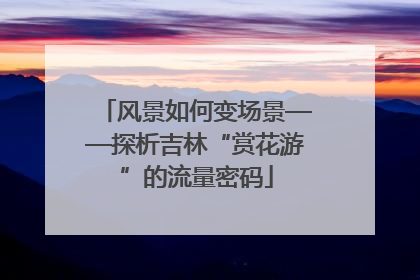 风景如何变场景——探析吉林“赏花游”的流量密码