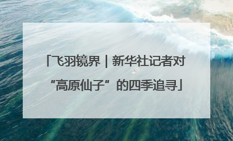 飞羽镜界｜新华社记者对“高原仙子”的四季追寻