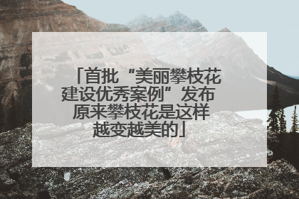 首批“美丽攀枝花建设优秀案例”发布 原来攀枝花是这样越变越美的