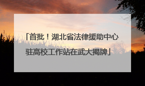 首批！湖北省法律援助中心驻高校工作站在武大揭牌